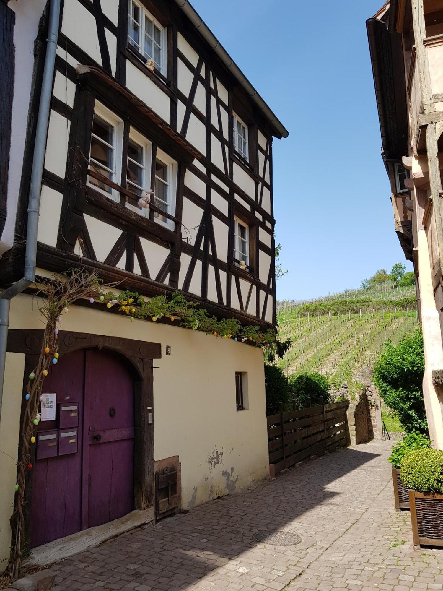 ריקוויר La Maison Vigneronne מראה חיצוני תמונה